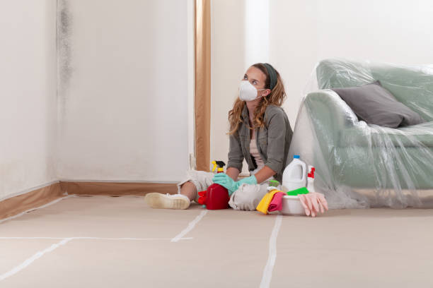 Reliable Mold Remediation contractor in Itasca, IL by WQB Mold Removal